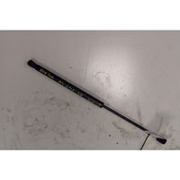 Fiat Punto (188) Rear window strut damper 