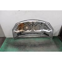 Renault Twingo II Engine bonnet/hood 