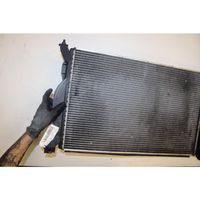 Seat Exeo (3R) Heater blower radiator 