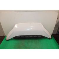 Fiat Ducato Engine bonnet/hood 