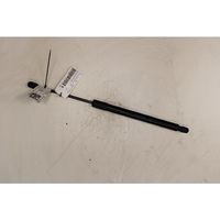 Opel Zafira C Rear window strut damper 