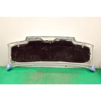 Fiat Ducato Engine bonnet/hood 