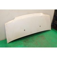 Fiat Ducato Engine bonnet/hood 