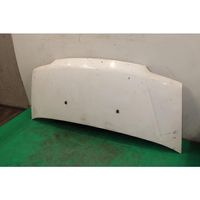 Fiat Ducato Engine bonnet/hood 