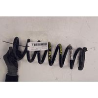 Citroen C-Crosser Rear coil spring 