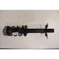 Fiat Ducato Front shock absorber/damper 