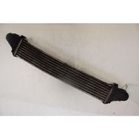 Mercedes-Benz E W211 Radiatore intercooler 