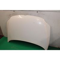 Volkswagen Fox Engine bonnet/hood 