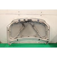 Volkswagen Fox Engine bonnet/hood 