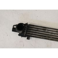 Fiat Fiorino Radiatore intercooler 