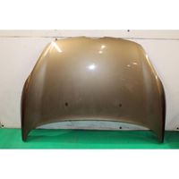 Ford Fiesta Engine bonnet/hood 