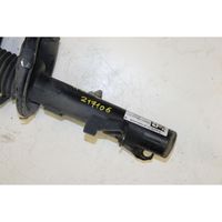 Volvo C70 Front shock absorber/damper 