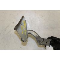 Volkswagen Fox Engine bonnet/hood hinges 