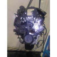 Ford Ecosport Engine 