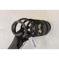 Ford Ecosport Rear coil spring 