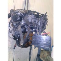 Ford C-MAX II Engine T1DA