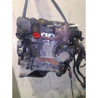 Ford C-MAX II Engine T1DA