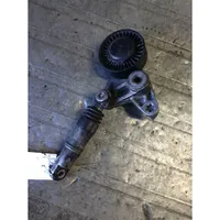 Audi A6 Allroad C6 Tendicinghia generatore/alternatore 