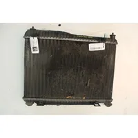 Ford Fiesta Mazais radiators 