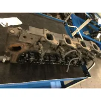 Ford Tourneo Testata motore 