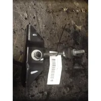 Renault Master III Barra stabilizzatrice posteriore/stabilizzatore 