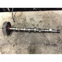 Renault Clio II Camshaft 