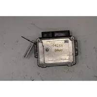 Fiat Bravo Fuel injection control unit/module 