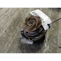 Fiat Punto (188) Water pump 