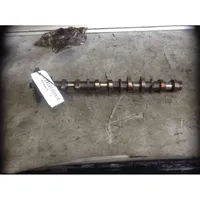 Toyota Corolla Verso AR10 Camshaft 