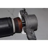 Opel Astra J Rear shock absorber with coil spring 