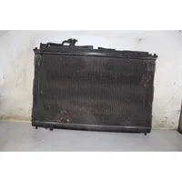 Hyundai Santa Fe Heater blower radiator 