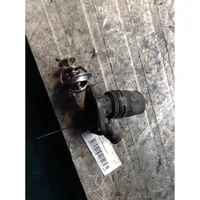 Citroen Berlingo Thermostat/thermostat housing 133823