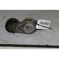 Fiat 500 Generator/alternator belt tensioner 