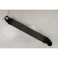 Mini Cooper Countryman R60 Radiatore intercooler 