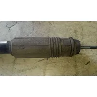 Fiat Palio Rear shock absorber with coil spring 