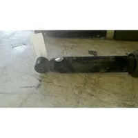 Fiat Palio Rear shock absorber with coil spring 