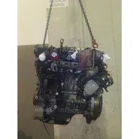 Ford Focus Motor T1DB