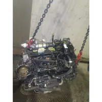 Ford Focus Motor T1DB