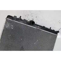 Peugeot 307 Radiateur soufflant de chauffage 