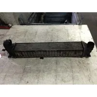 Seat Alhambra (Mk1) Radiatore intercooler 