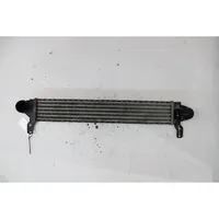 Seat Alhambra (Mk1) Radiatore intercooler 