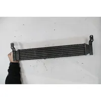 Seat Alhambra (Mk1) Radiatore intercooler 