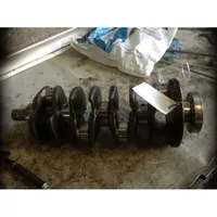 Fiat Doblo Crankshaft 