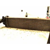 Land Rover Freelander Chłodnica powietrza doładowującego / Intercooler 