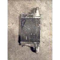 Nissan Atleon Chłodnica powietrza doładowującego / Intercooler 