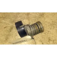 Audi A2 Generator/alternator belt tensioner 