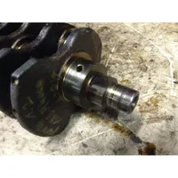 Fiat Punto (188) Crankshaft 