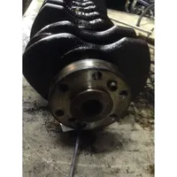 Fiat Punto (188) Crankshaft 