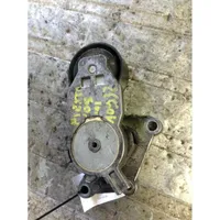 Ford Fiesta Tendicinghia generatore/alternatore 