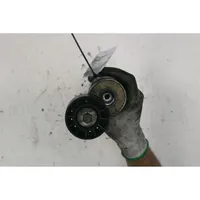 Fiat Ducato Generator/alternator belt tensioner 